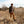 Division Road, Freenote Cloth, merz B, Schwanen